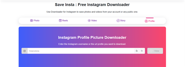 وب‌سایت Save Insta 